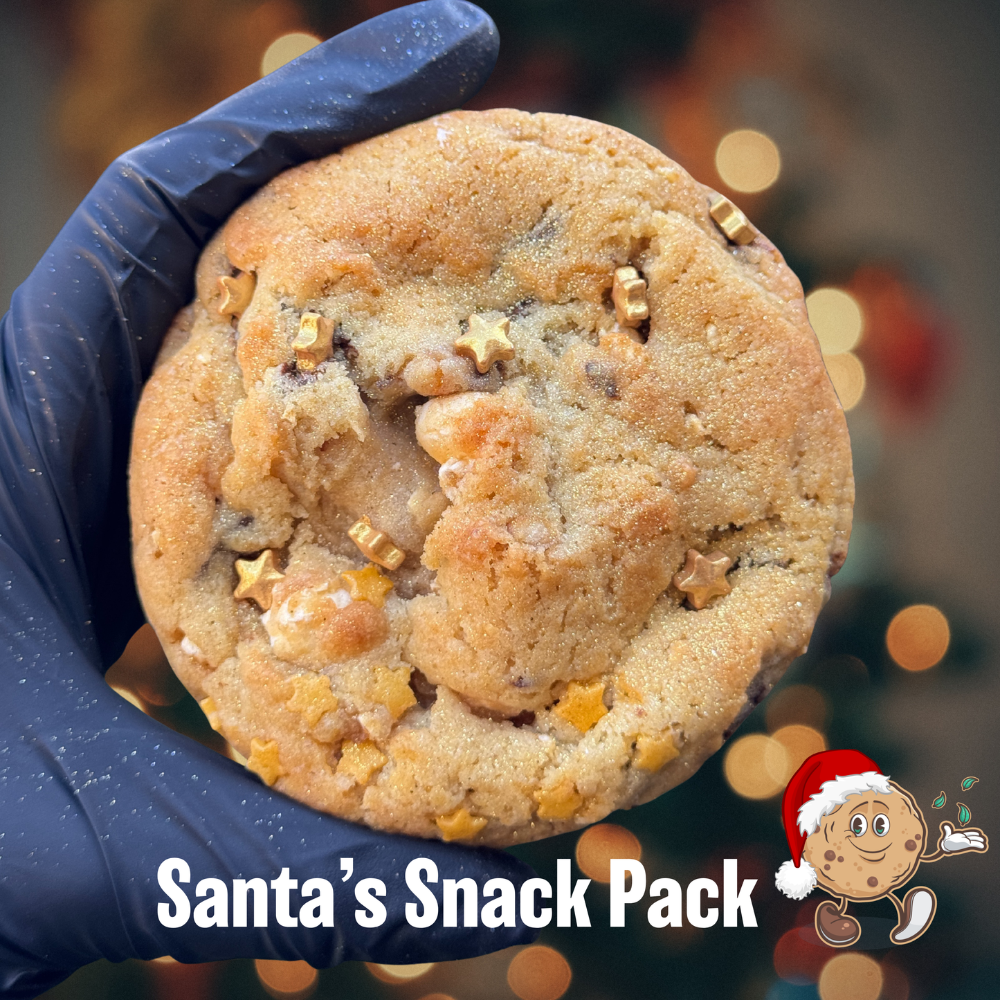 Santa's Snack Pack
